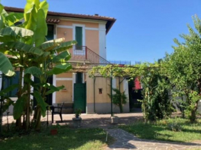 Green house di Alberto